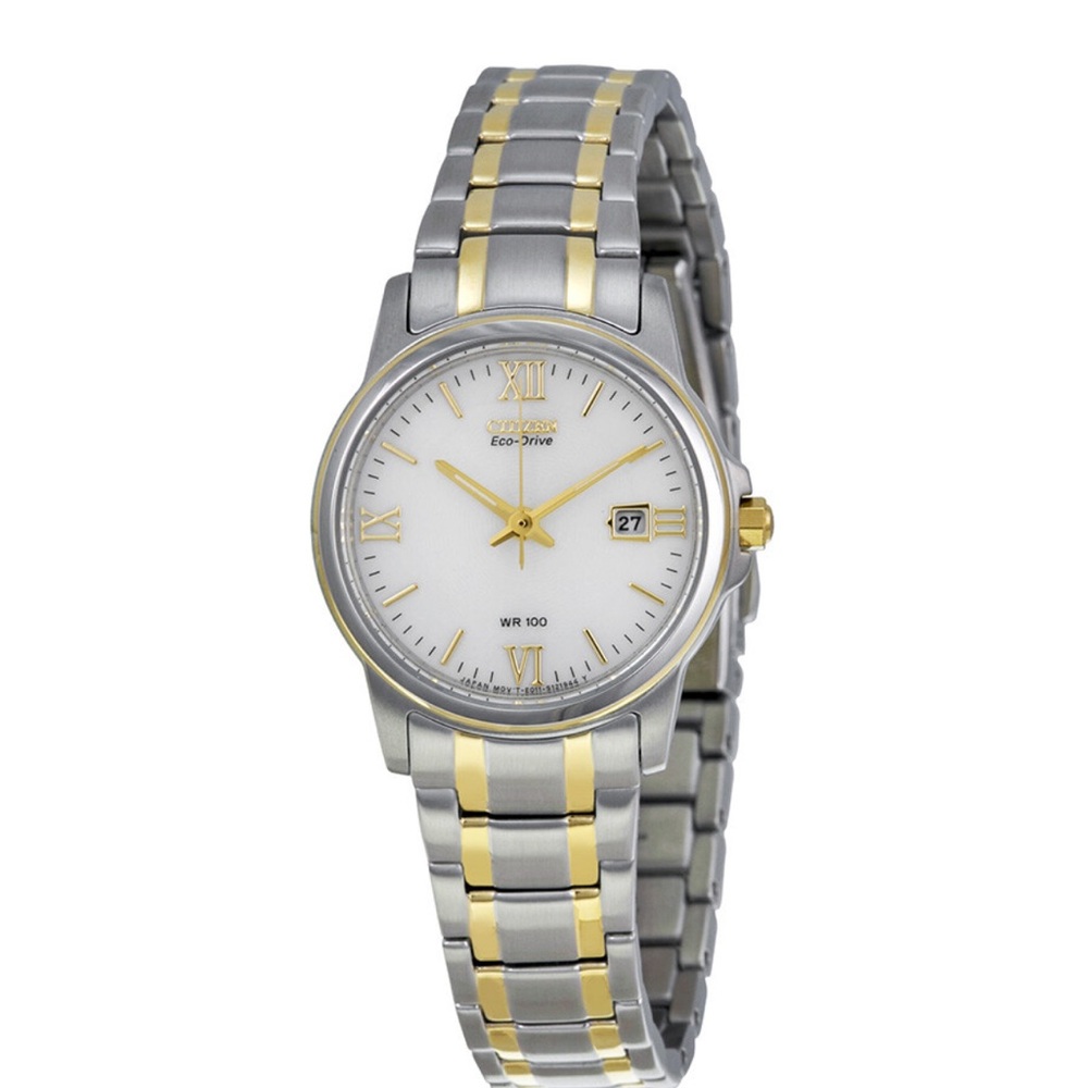 Citizen Men's Silver and Gold Eco-Drive Watch